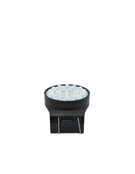 SR.LAMPADINA T20 A 8 LED BIANCHI