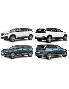 RETRONEBBIA SX PEUGEOT 5008 01-17 in poi 2