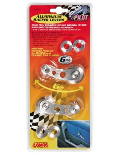 CP.MANIGL.ALZAVETRO ALLUM. 2