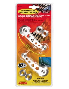 CP.MANIGL.ALZACEVTR.ALLUM.LUNGHE 2