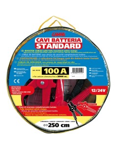 SR.CAVI BATTERIA 100 AH. 2