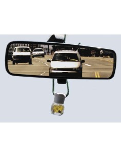 BONSAI CLASSIC LIMONE