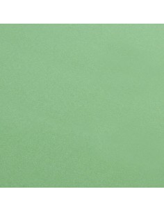 -PANNO--PRO-CLEAN--MICROFIBRA TESSUTO RASO, 30X40C