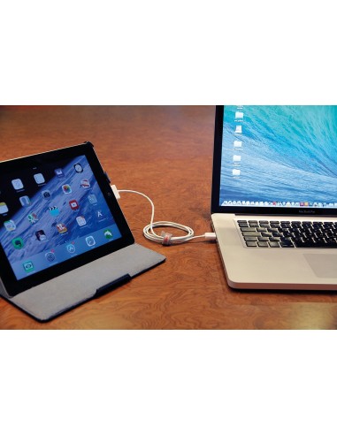 CAVO DATI DOCK 30PIN PER IPOD,IPHONE,IPAD 1M