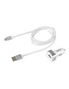 Apple Lightning / Dock 30 Pin
