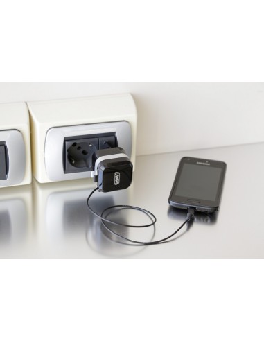 PRESA USB DA RETE+CAVO MICRO USB RETRAT.+PORTA USB