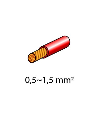 CAPICOR.PIATTI FEMM.ROS.PZ.12