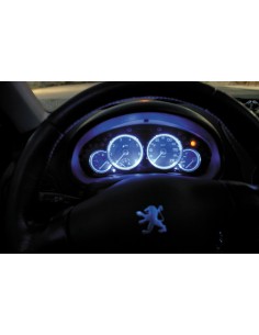 KIT ILLUMINAZIONE CRUSCOTTO PEUGEOT 206 -- in poi '02 2