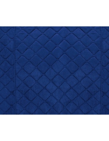 CP.FODERE --BIBA-- BLU SCURO ANTERIORI-