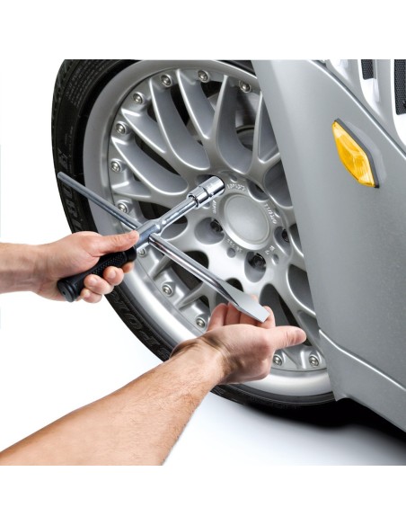 -SVITARUOTE --GENIO---