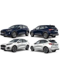 GRIGLIA P-TI A-DX FORD KUGA 01-20 in poi 2