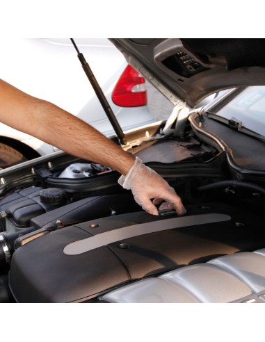 GUANTI IN VINILE 100 PZ.