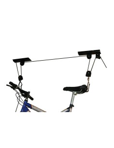 ASCENSORE PER CICLO 2