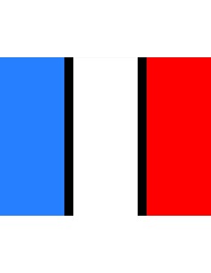 BANDIERA FRANCESE A LED 24V