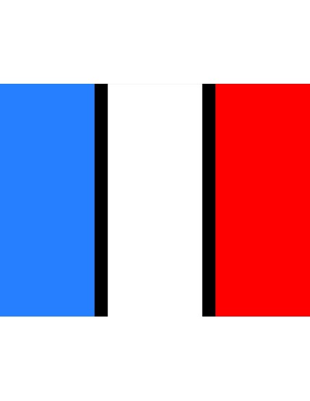 BANDIERA FRANCESE A LED 24V