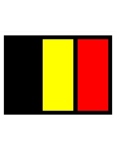 BANDIERA BELGA A LED 24V