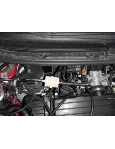 FILTRO BENZINA GRANDE 70150 LAMPA 2