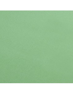 Pro-Clean - 30x40 cm - Panno elettronica - Tessuto raso