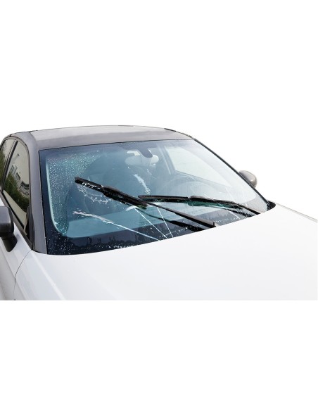 LAVAVETRI TOGLI MOSCERINI 1LT PROFUMATO PRONTO ALL