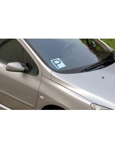 CONTRASSEGNO P ANTERIORE 65348 LAMPA 2