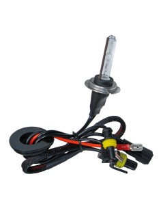 12/24V Lampadina HID Xenon 6.000K - H7 - 1 pz  - Scatola