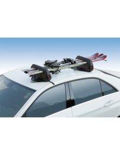 P/SCI MAGNETICO MYURA CARVING 2