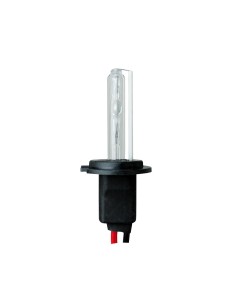 LAMPADINA SINGOLA HID H7 6000K