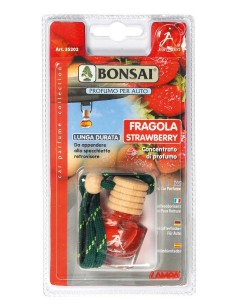 BONSAI CLASSIC FRAGOLA 2