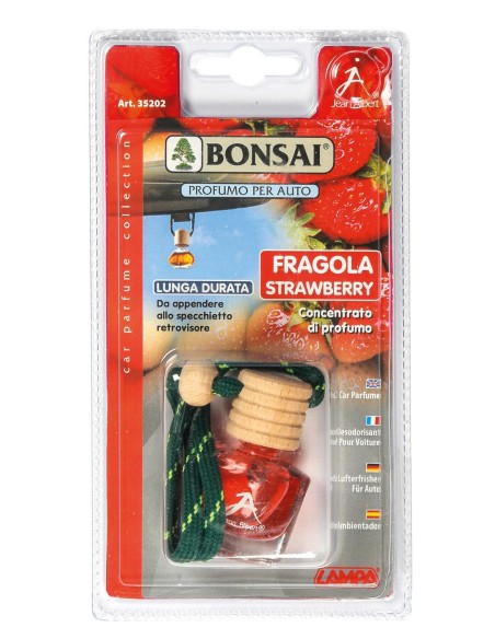 BONSAI CLASSIC FRAGOLA