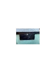 P.ZZA INC.VR DAILY 2021 in poi