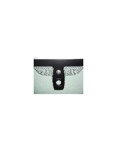 PARABREZZA COAT+SENSORE BMW S5 F10 10 in poi