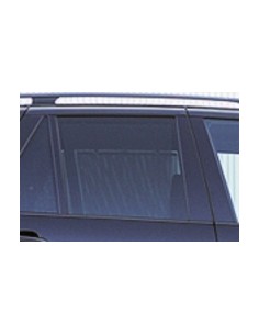 SCENDENTE POSTERIORE DX FUME'BMW X5 00-07