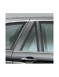 FISSO PORTA POSTERIORE DX AZZ.BMW X5 00-07