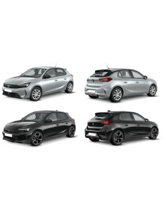 P.ZZA INC VR+FIN DUCATO 2017 in poi