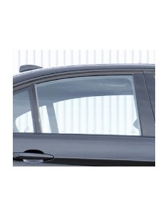 SCENDENTE POSTERIORE BMW 3 E90'05 in poi DX AZZ.BERLINA