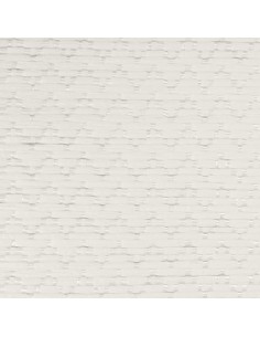 CP SCHIENALI SLIM-STRIP 2