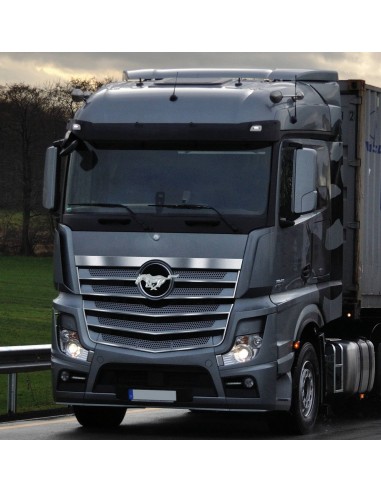 PROFILO ADESIVO STRIPE MANIAC -CHROME 5MM. 07694 LAMPA