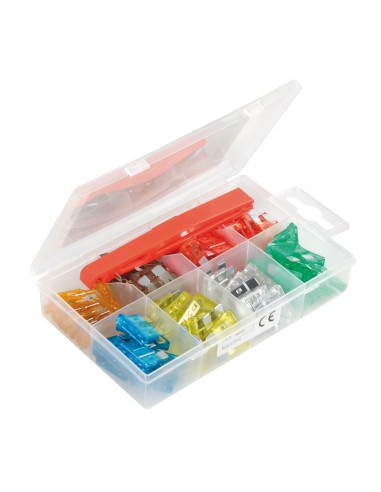 CONFEZ. 80 FUSIBILI LAMELLARI ASSORTITI