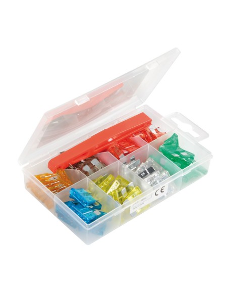 CONFEZ. 80 FUSIBILI LAMELLARI ASSORTITI