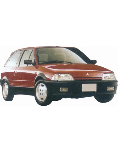 LUNOTTO VR CITROEN AX TT
