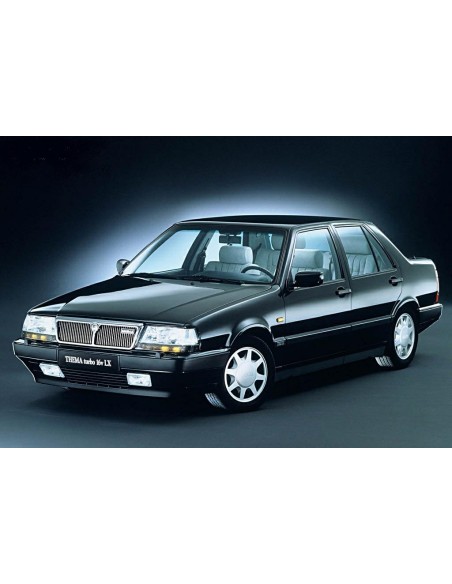 PARABREZZA VERDE CON FASCIA LANCIA THEMA