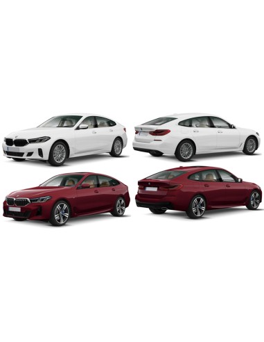 SCENDENTE POSTERIORE DX FUME' BMW S6 GT 2017 in poi