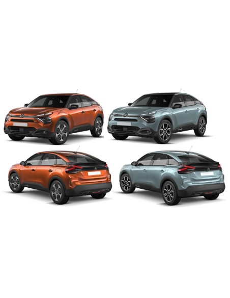 VOLETTO P-DX FUME'C4 CACTUS 2014 in poi