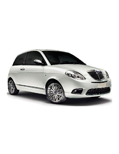 PIASTRA GRANDE SX YPSILON 09 in poi