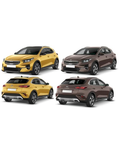 SCENDENTE POSTERIORE SX FUME' KIA XCEED 2019 in poi