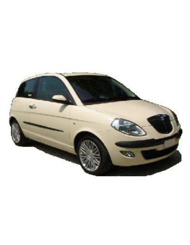 VETRINO CON PIASTRA SX ASF.TE.LANCIA Y 03-09