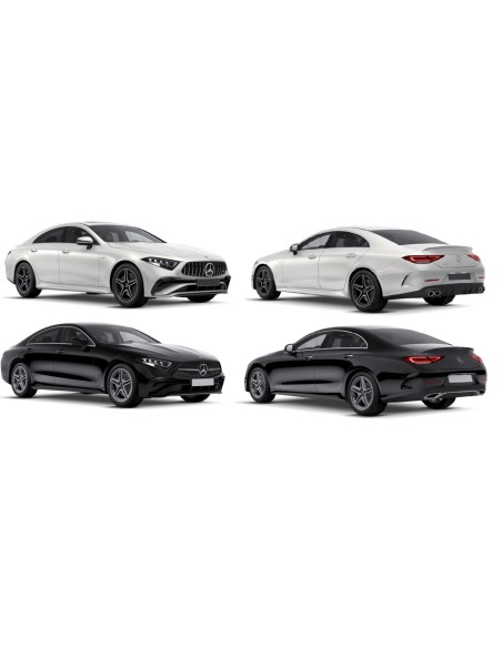 SCENDENTE POSTERIORE DX PRIVACY CLASSE A 4P 19 in poi