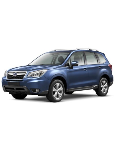 GUARNIZIONE PARABREZZA SUBARU FORESTER 13 in poi