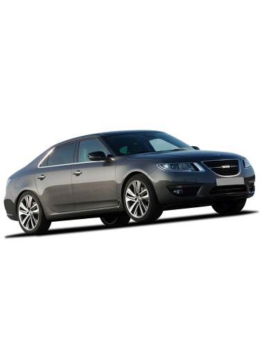 FISSO PORTA POSTERIORE DX VR SAAB 9.5 10 in poi