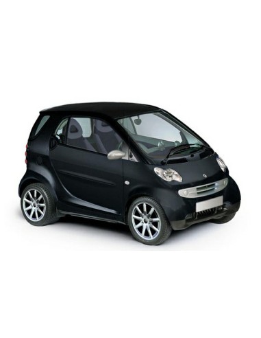 VETRINO CON PIASTRA SX TER.SMART FORTWO 98-07